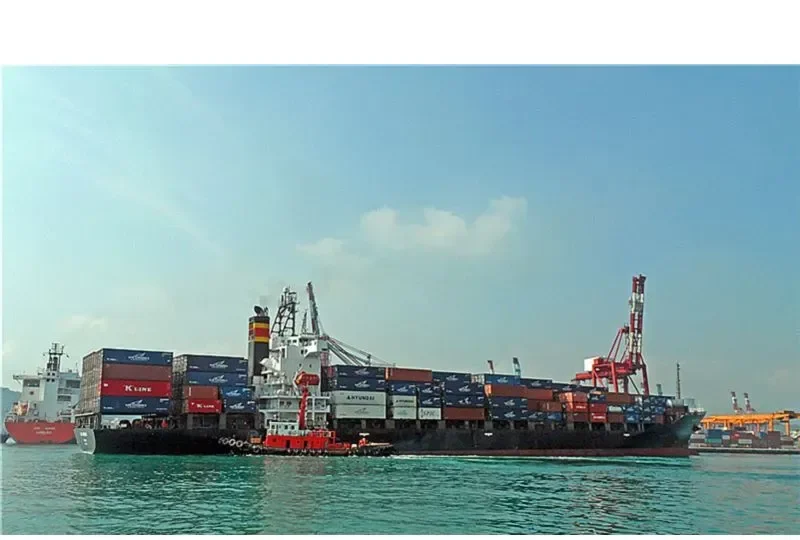 ACX HIBISCUS Container Ship IMO 9159141 photo 5