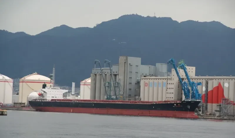 FU MING Bulk Carrier IMO 9159189 photo 3