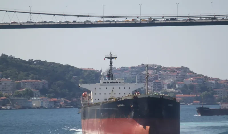 SURYAWATI Bulk Carrier IMO 9159191 photo 4
