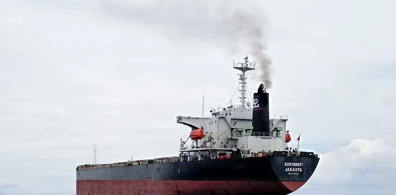 SURYAWATI Bulk Carrier IMO 9159191 photo 6