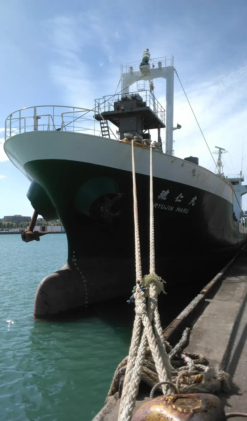 RYUJIN MARU General Cargo IMO 9159232