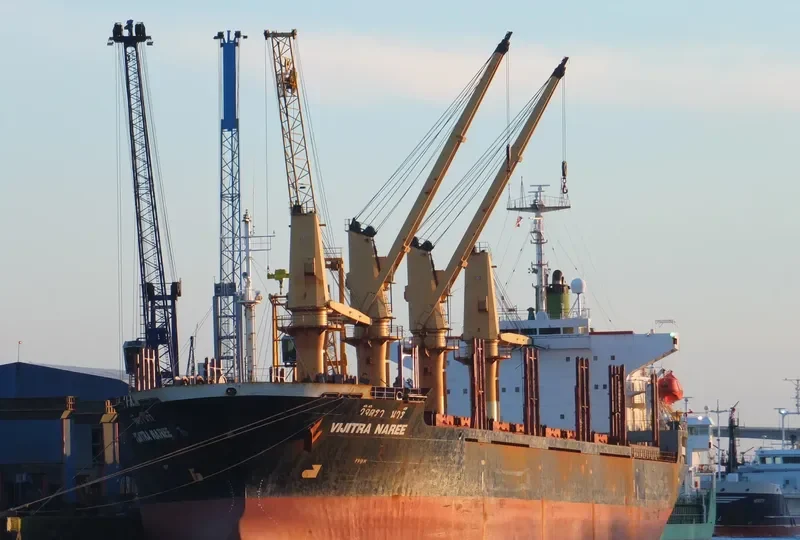 VIJITRA NAREE Bulk Carrier IMO 9159347 photo 7