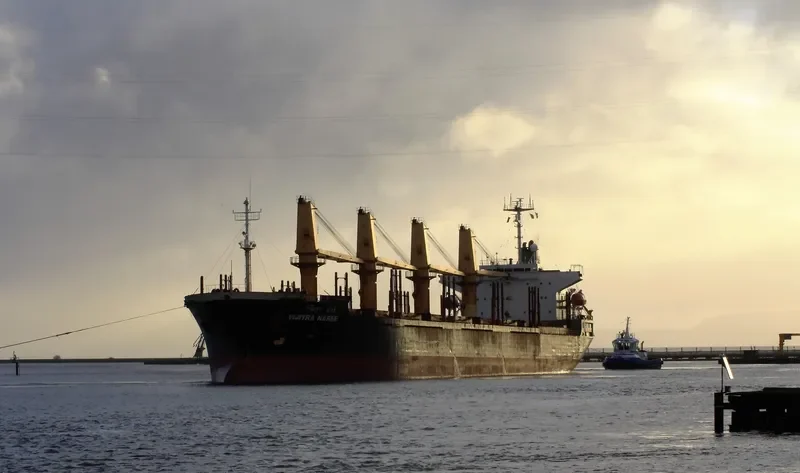 VIJITRA NAREE Bulk Carrier IMO 9159347 photo 9