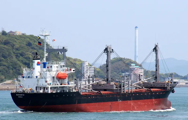 BADGER II General Cargo IMO 9159385 photo 2