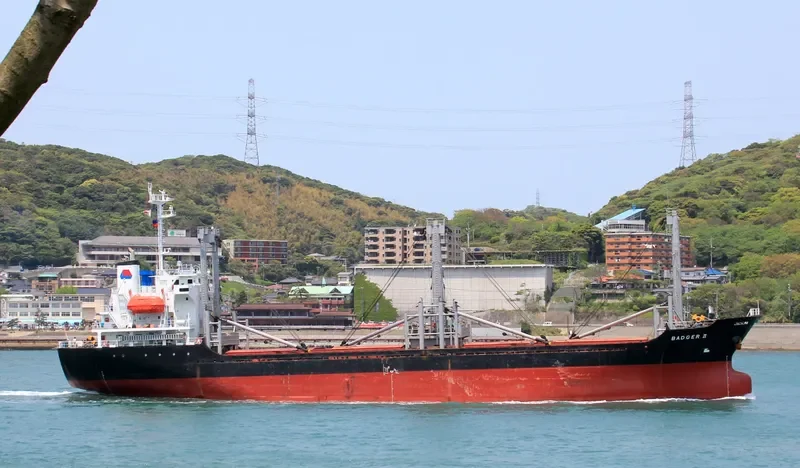 BADGER II General Cargo IMO 9159385 photo 3