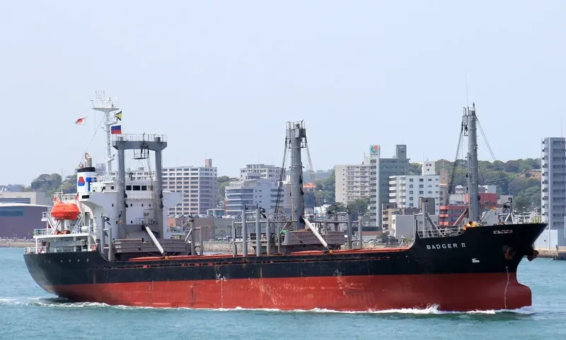 BADGER II General Cargo IMO 9159385 photo 4