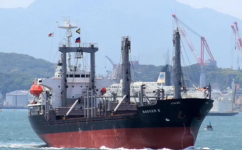 BADGER II General Cargo IMO 9159385 photo 5