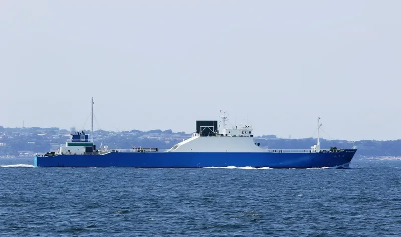 ROKURYU MARU Ro-Ro IMO 9159397 photo 8