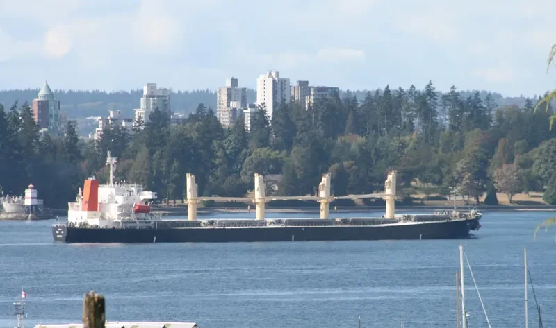 MALAK Bulk Carrier IMO 9159402 photo 9