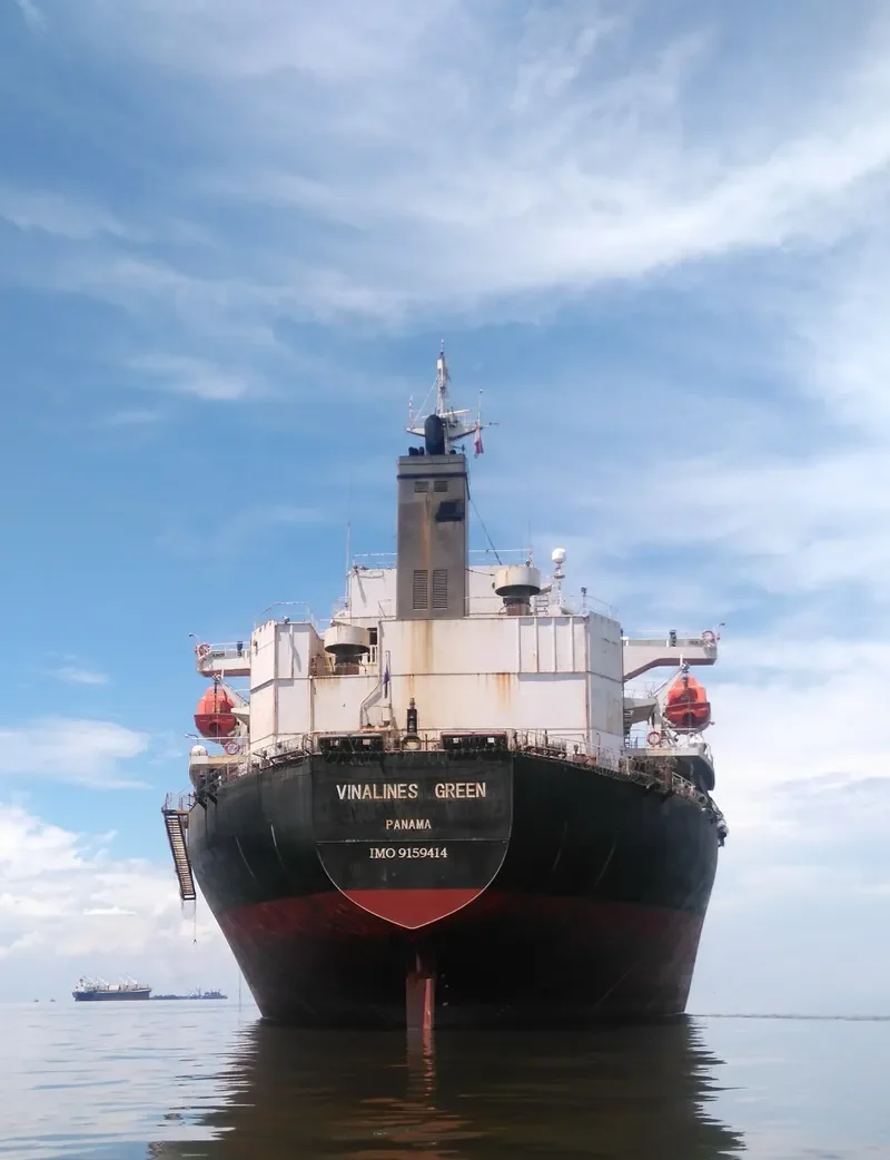 VIMC GREEN Bulk Carrier IMO 9159414 photo 2