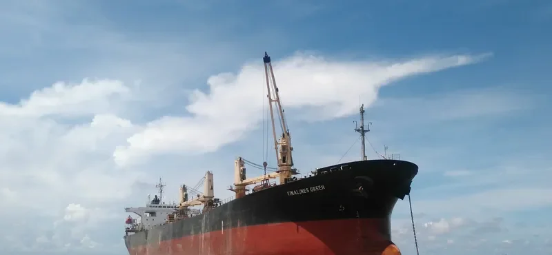 VIMC GREEN Bulk Carrier IMO 9159414 photo 4