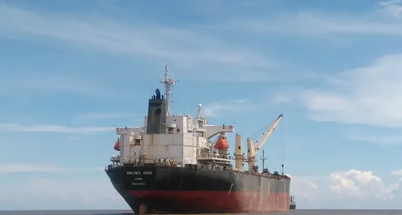 VIMC GREEN Bulk Carrier IMO 9159414 photo 5