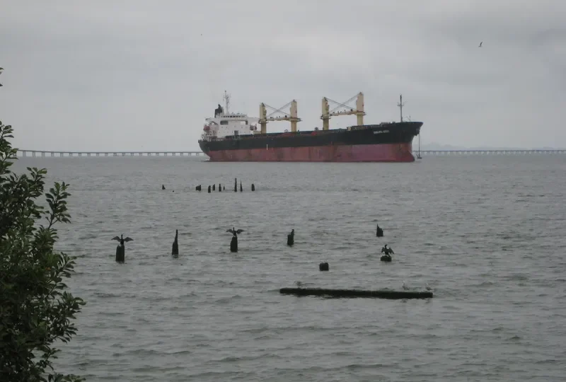 VIMC GREEN Bulk Carrier IMO 9159414 photo 6