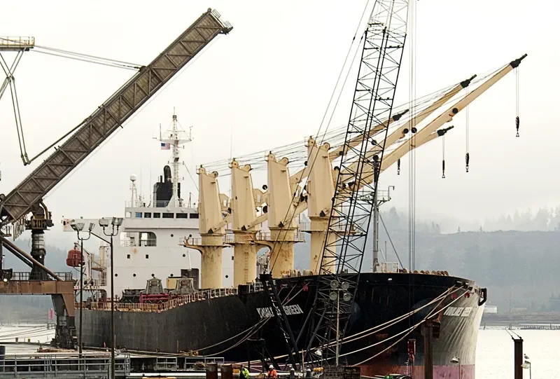 VIMC GREEN Bulk Carrier IMO 9159414 photo 8