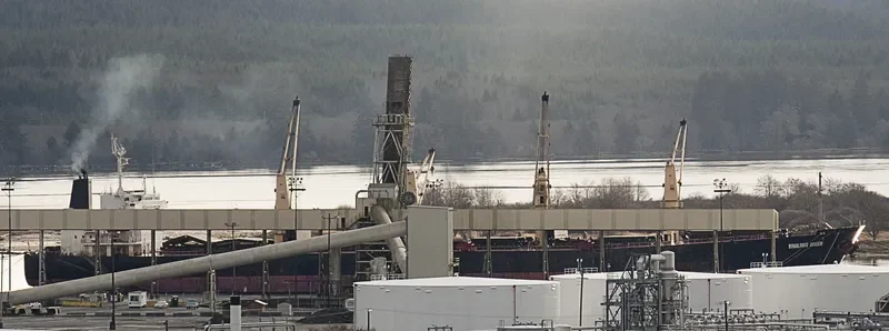 VIMC GREEN Bulk Carrier IMO 9159414 photo 9