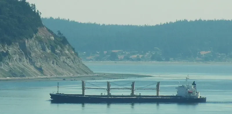KHADEEJAH JAHAN Bulk Carrier IMO 9159438 photo 9