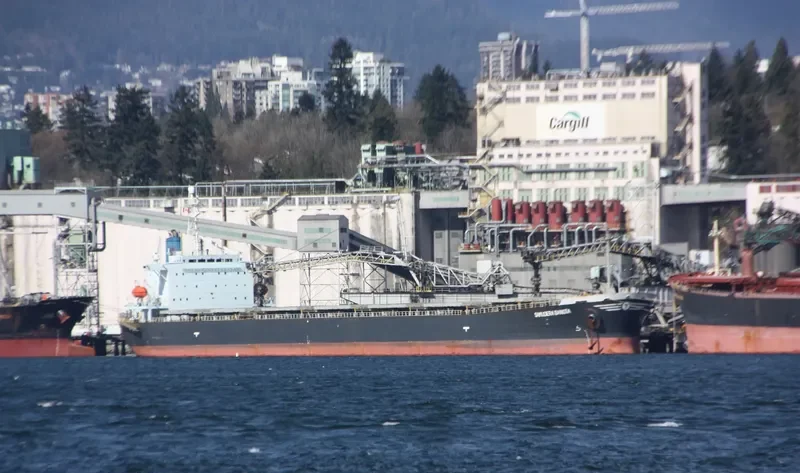 SAMUDERA Bulk Carrier IMO 9159517 photo 5