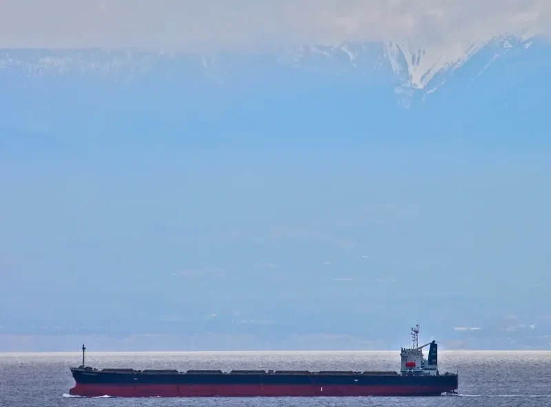 SAMUDERA Bulk Carrier IMO 9159517 photo 9
