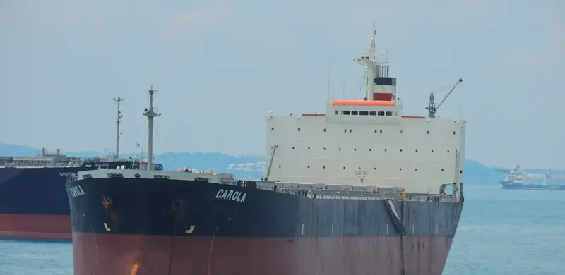 CAROLA Bulk Carrier IMO 9159543 photo 2