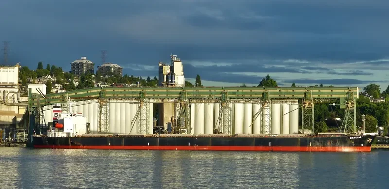 CAROLA Bulk Carrier IMO 9159543 photo 4