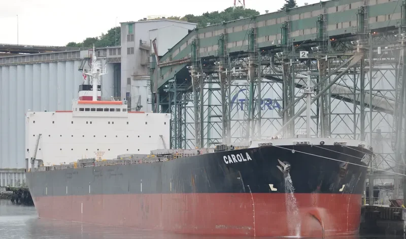 CAROLA Bulk Carrier IMO 9159543 photo 5