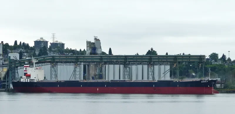 CAROLA Bulk Carrier IMO 9159543 photo 6