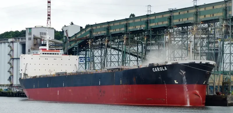 CAROLA Bulk Carrier IMO 9159543 photo 7