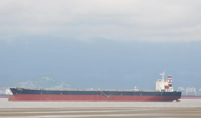 CAROLA Bulk Carrier IMO 9159543 photo 9