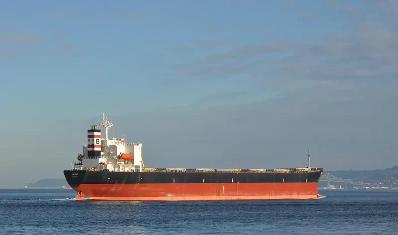 CAROLA Bulk Carrier IMO 9159543 photo 10