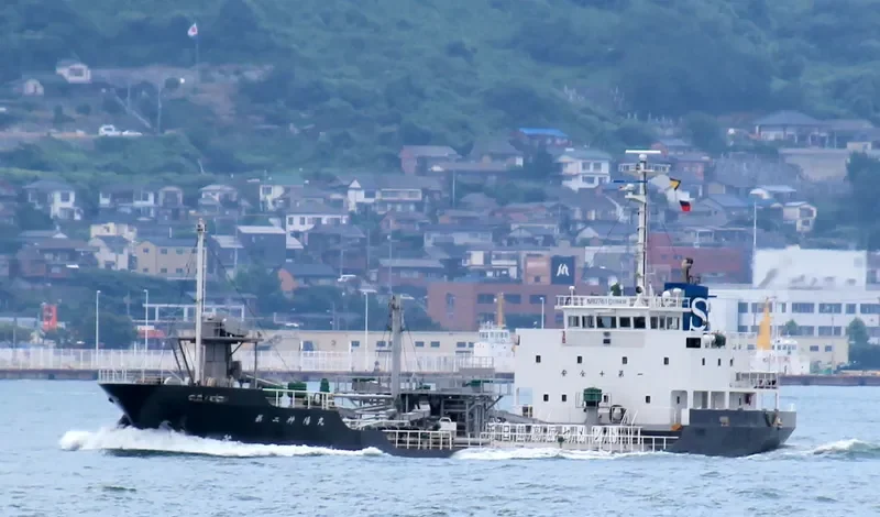 SHINYO MARU NO.2 General Cargo IMO 9159608 photo 8