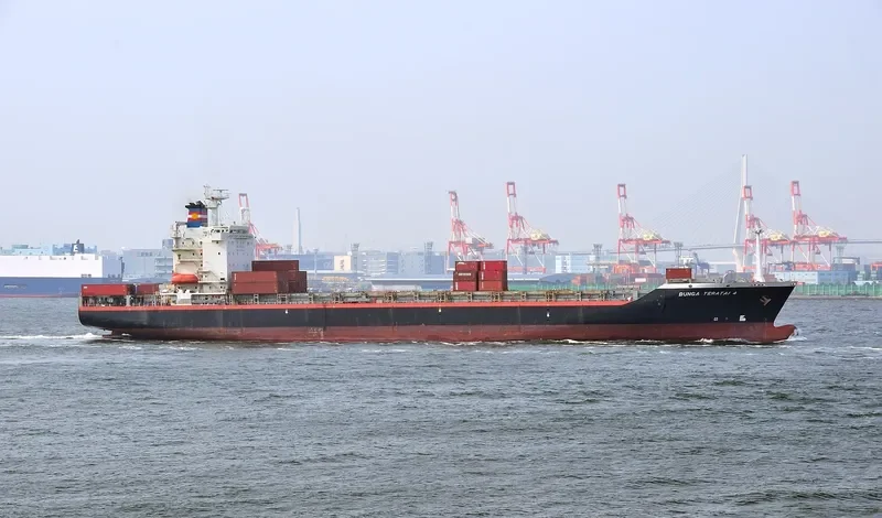 X PRESS SUEZ Container Ship IMO 9159658 photo 6