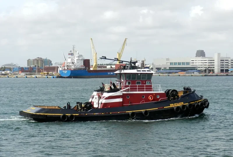 ERIN MCALLISTER General Cargo IMO 9159701