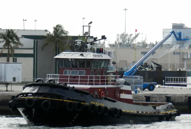 ERIN MCALLISTER General Cargo IMO 9159701 photo 3