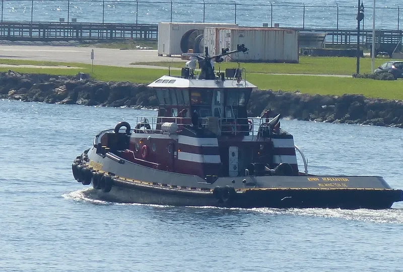 ERIN MCALLISTER General Cargo IMO 9159701 photo 8