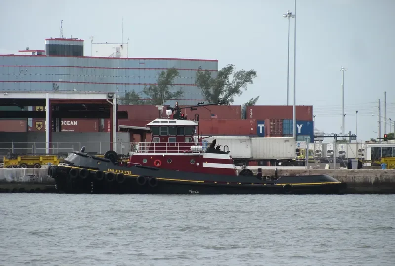 ERIN MCALLISTER General Cargo IMO 9159701 photo 10