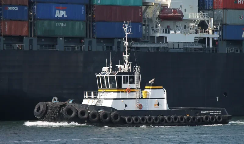 MILLENNIUM MAVERICK General Cargo IMO 9159713