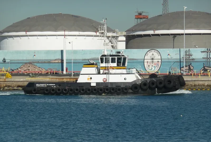 MILLENNIUM MAVERICK General Cargo IMO 9159713 photo 3