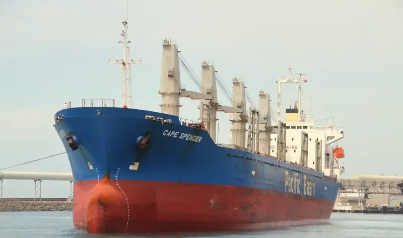 ETERNAL JOY Bulk Carrier IMO 9159725 photo 3