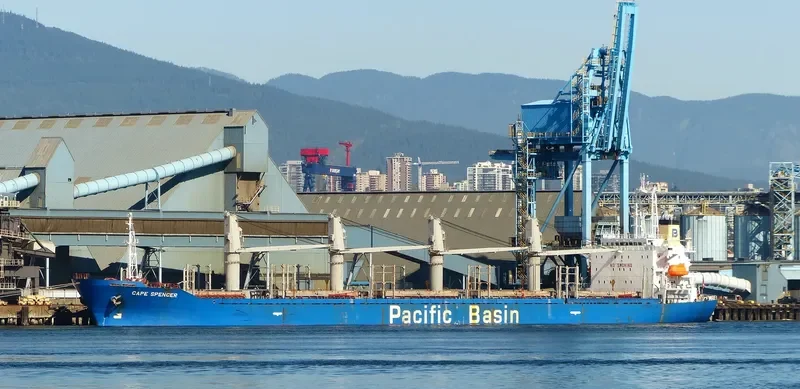 ETERNAL JOY Bulk Carrier IMO 9159725 photo 5