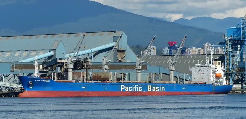 ETERNAL JOY Bulk Carrier IMO 9159725 photo 6