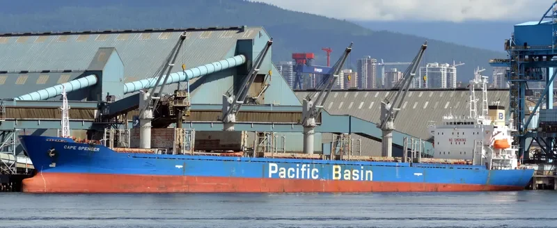 ETERNAL JOY Bulk Carrier IMO 9159725 photo 7