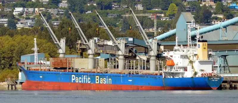 ETERNAL JOY Bulk Carrier IMO 9159725 photo 8