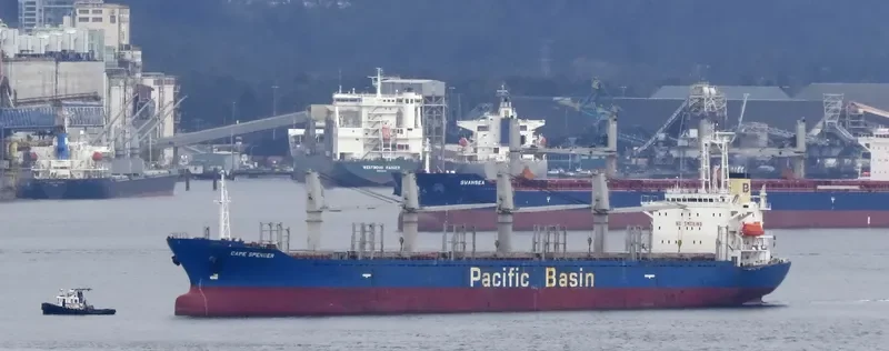 ETERNAL JOY Bulk Carrier IMO 9159725 photo 9