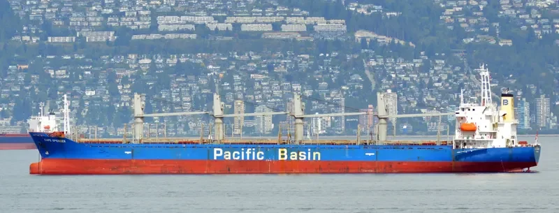 ETERNAL JOY Bulk Carrier IMO 9159725 photo 10
