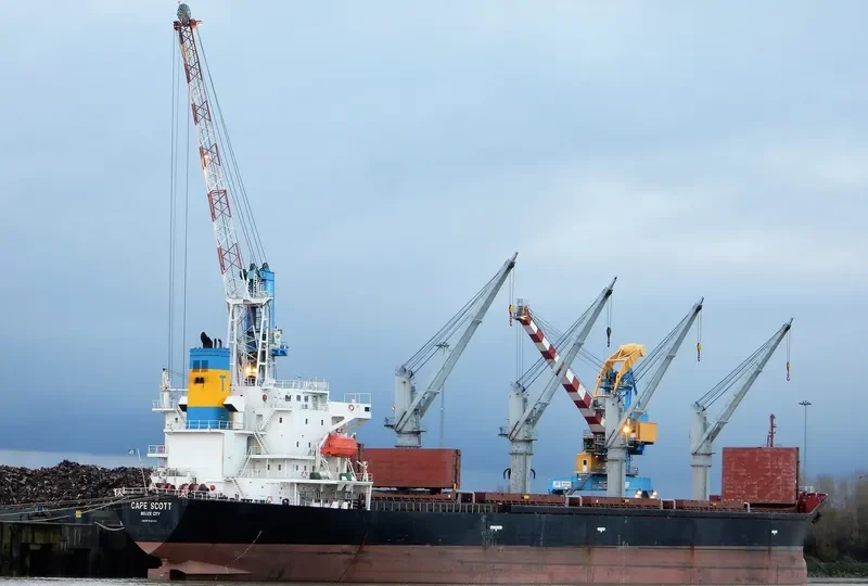 CAPE SCOTT Bulk Carrier IMO 9159737
