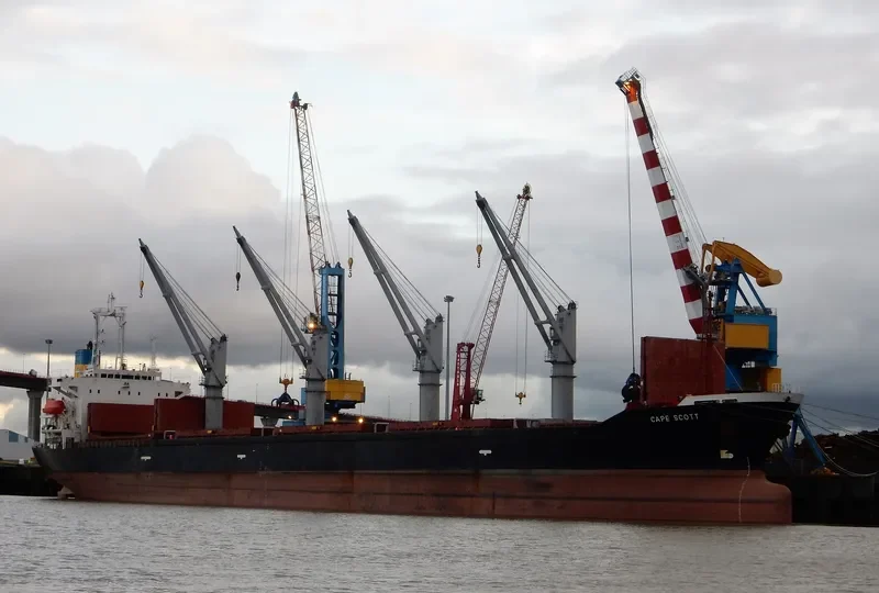 CAPE SCOTT Bulk Carrier IMO 9159737 photo 2