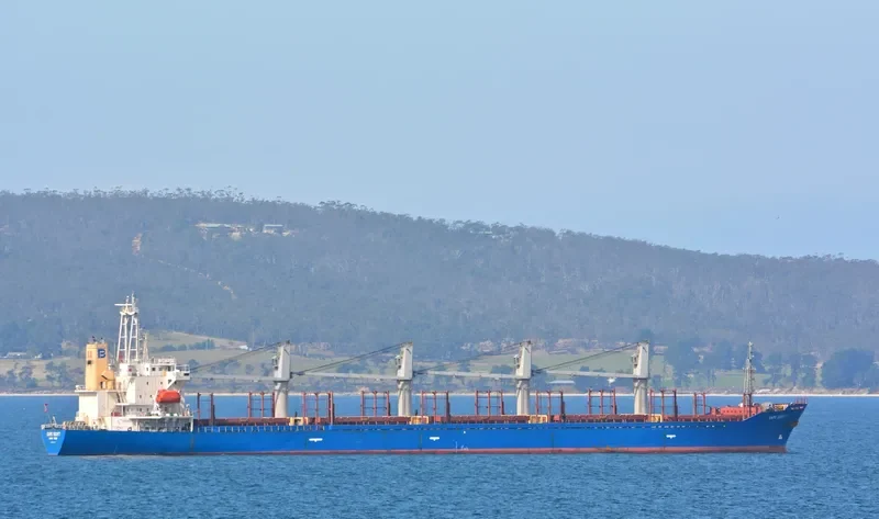 CAPE SCOTT Bulk Carrier IMO 9159737 photo 7