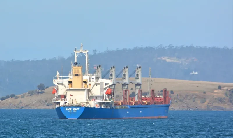 CAPE SCOTT Bulk Carrier IMO 9159737 photo 8