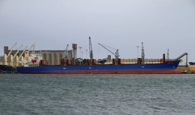 CAPE SCOTT Bulk Carrier IMO 9159737 photo 9