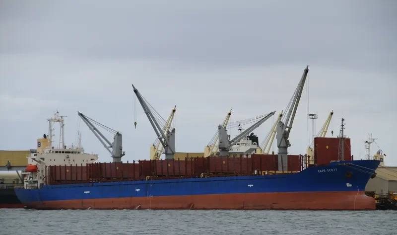 CAPE SCOTT Bulk Carrier IMO 9159737 photo 10